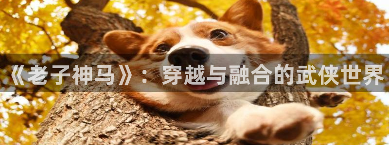 亚洲依依成人影院精品：《老子神马》：穿越与融合的武侠世界